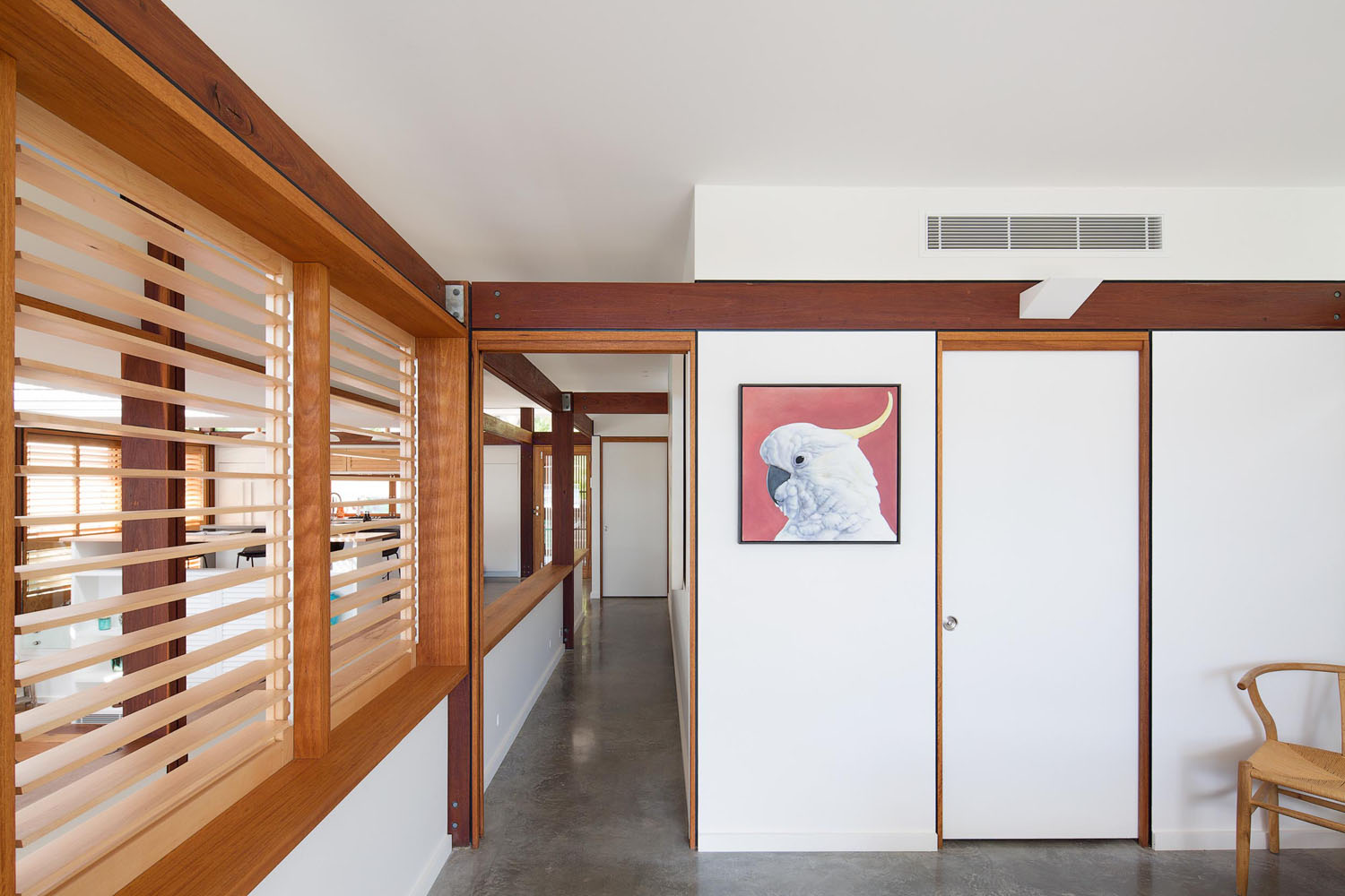 contemporary builders - clareville beach house