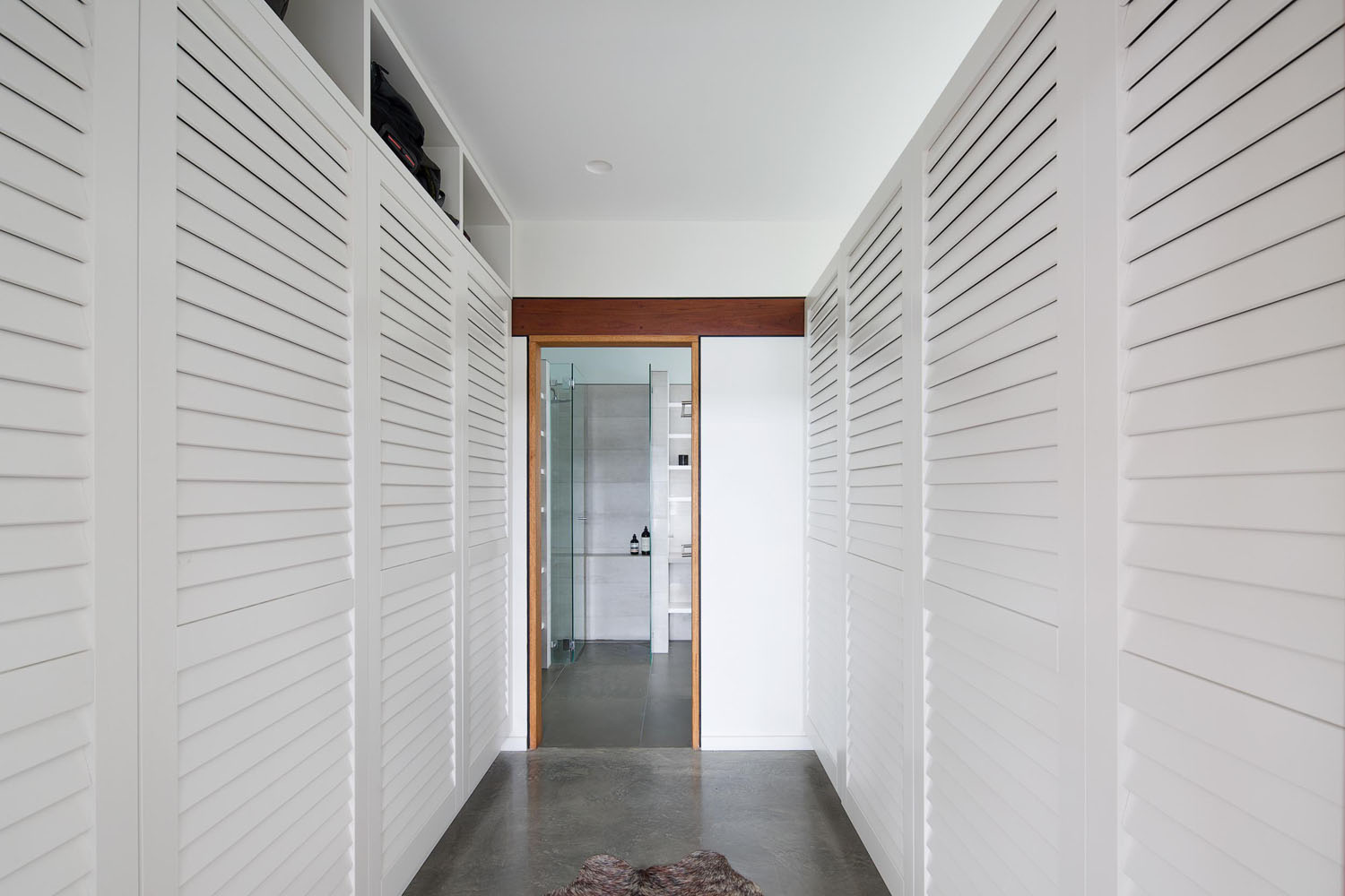 contemporary builders - clareville beach house